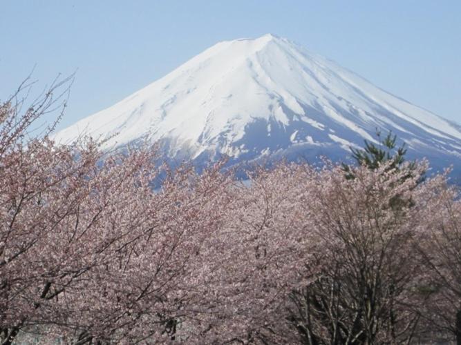 Shuhokaku Kogetsu Hotel Fujikawaguchiko Eksteriør billede